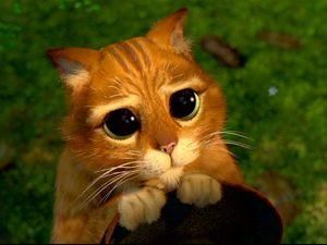 Ціна на квиток у кіно в США піднялася до 20 дол Ціна на квиток у кіно в США піднялася до 20 дол