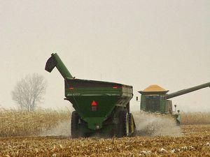 Китай став найбільшим імпортером американського зерна Китай став найбільшим імпортером американського зерна