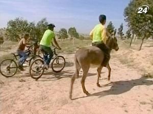 Бедуїнів вчать дисципліні і повазі за допомогою велосипедів Бедуїнів вчать дисципліні і повазі за допомогою велосипедів