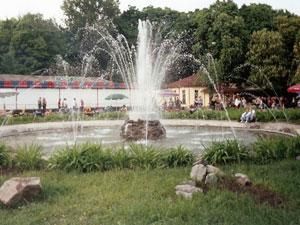 У Харкові люди воюють з міліцією та бульдозерами У Харкові люди воюють з міліцією та бульдозерами