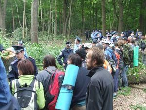 У Харкові міліція б'є захисників лісу У Харкові міліція б'є захисників лісу