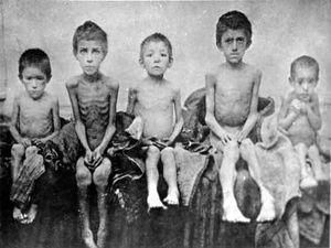 Партія регіонів пропонує не називати голодомор геноцидом