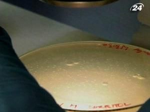 Американські вчені вперше у світі синтезували штучну клітину Американські вчені вперше у світі синтезували штучну клітину