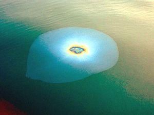 BP відновила операцію з ліквідації витоку нафти BP відновила операцію з ліквідації витоку нафти