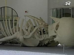 У Римі відкривають музей сучасного мистецтва У Римі відкривають музей сучасного мистецтва