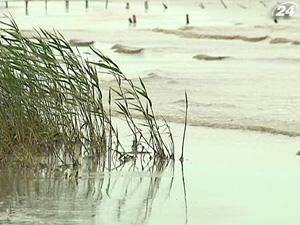 Мул з Азова наступає на узбережжя, і поглинає все живе Мул з Азова наступає на узбережжя, і поглинає все живе