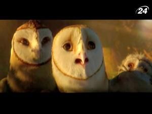 "Нічні вартові": у таємничому лісі в гармонії та спокої живуть мудрі сови - 1 червня 2010 - Телеканал новин 24 "Нічні вартові": у таємничому лісі в гармонії та спокої живуть мудрі сови - 1 червня 2010 - Телеканал новин 24