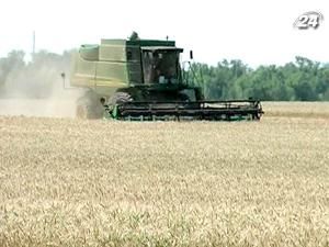 Зерновий експорт тримає темпи Зерновий експорт тримає темпи