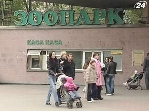 Отрутохімікатів у крові загиблих у Київському зоопарку тварин не виявили Отрутохімікатів у крові загиблих у Київському зоопарку тварин не виявили