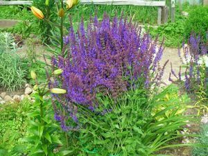 Нардепи додали в "чорний список" нові курильні суміші Нардепи додали в "чорний список" нові курильні суміші