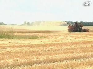 Попри весняні морози, цьогорічний врожай буде не гіршим аніж минулоріч