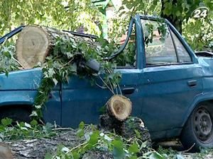 Чотири області оговтуються від учорашнього буревію Чотири області оговтуються від учорашнього буревію
