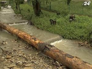 Захід оговтується від буревію. Села залишились без світла та газу Захід оговтується від буревію. Села залишились без світла та газу