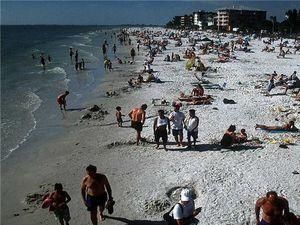 Витік нафти досяг узбережжя Флориди і розігнав туристів Витік нафти досяг узбережжя Флориди і розігнав туристів