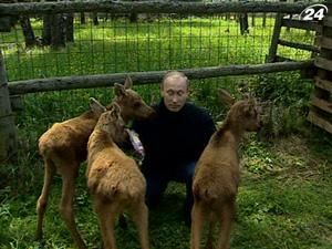 Володимир Путін відвідав лосиний заповідник - 5 червня 2010 - Телеканал новин 24 Володимир Путін відвідав лосиний заповідник - 5 червня 2010 - Телеканал новин 24