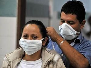 Рада Європи спростувала інформацію про епідемію свинячого грипу Рада Європи спростувала інформацію про епідемію свинячого грипу