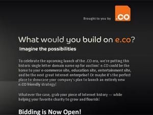 У Інтеренеті виставили на продаж домен з однієї літери У Інтеренеті виставили на продаж домен з однієї літери