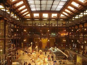 10 червня. День в історії - 10 червня 2010 - Телеканал новин 24 10 червня. День в історії - 10 червня 2010 - Телеканал новин 24