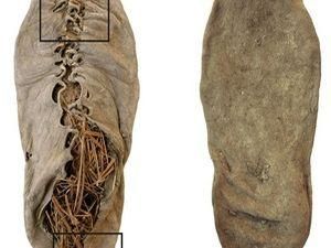 Вчені встановили вік найстарішого в світі черевика Вчені встановили вік найстарішого в світі черевика