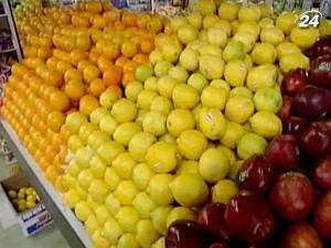 Імунітет - найважливіша система людського організму Імунітет - найважливіша система людського організму