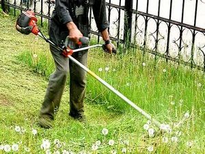 Німецький пенсіонер озброївся газонокосаркою і напав на сусіда Німецький пенсіонер озброївся газонокосаркою і напав на сусіда