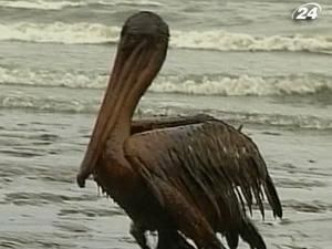 Масштаб аварії виявився більшим, аніж вважали раніше Масштаб аварії виявився більшим, аніж вважали раніше