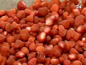 Щороку в місті Немі влаштовують полуничне свято Щороку в місті Немі влаштовують полуничне свято