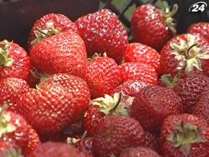 Ласкаво просимо на фестиваль королеви ягід Ласкаво просимо на фестиваль королеви ягід