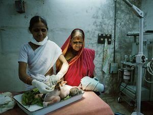 Індійка народила трійню в 66 років Індійка народила трійню в 66 років