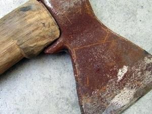 На Вінничині виявили розчленований труп медсестри На Вінничині виявили розчленований труп медсестри