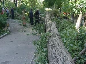 Українське літо принесе багато гроз і шквалів Українське літо принесе багато гроз і шквалів