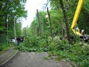 У Харкові продовжують забудовувати рекреаційну зону У Харкові продовжують забудовувати рекреаційну зону