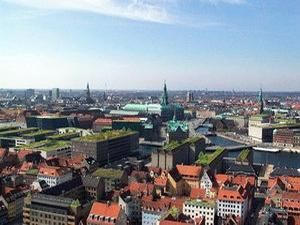 В Данії забудовників зобов’язали засаджувати дахи рослинами В Данії забудовників зобов’язали засаджувати дахи рослинами