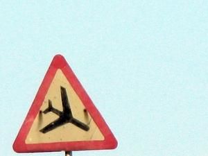 Літак збив козулю у Росії Літак збив козулю у Росії