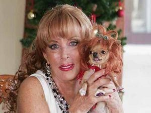 Син покійної мільйонерки судиться за майно з її собаками Син покійної мільйонерки судиться за майно з її собаками