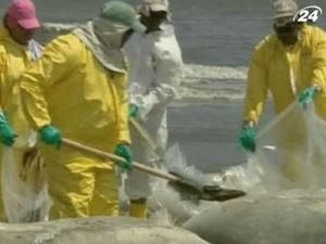 "Брітіш Петролеум" оцінила об’єми витоку нафти "Брітіш Петролеум" оцінила об’єми витоку нафти