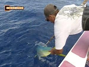 Туамоту - острови традиційної таїтянської риболовлі Туамоту - острови традиційної таїтянської риболовлі