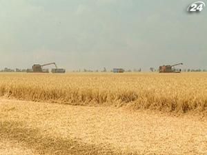 На півдні України розпочалися жнива озимини На півдні України розпочалися жнива озимини