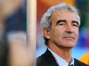 ЧС-2010. Доменек: мені дуже шкода ЧС-2010. Доменек: мені дуже шкода