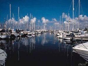 На затриманому судні на Кіпрі в екіпажі восьмеро українців На затриманому судні на Кіпрі в екіпажі восьмеро українців