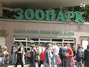 Мерія оголошує конкурс на посаду директора Київського зоопарку Мерія оголошує конкурс на посаду директора Київського зоопарку