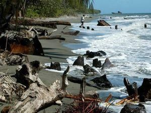 На Соломонових островах стався потужний землетрус На Соломонових островах стався потужний землетрус