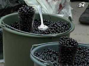 На Волині ДПА посилює контроль над реалізацією лісових ягід і грибів На Волині ДПА посилює контроль над реалізацією лісових ягід і грибів