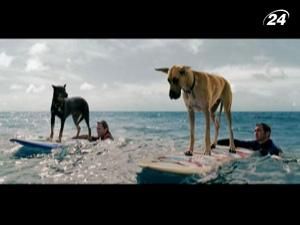 "Мармадюк": новий дім, нові сусіди та нові пригоди "Мармадюк": новий дім, нові сусіди та нові пригоди