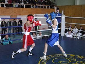 Юні українці вдало виступили на Чемпіонаті Європи з боксу Юні українці вдало виступили на Чемпіонаті Європи з боксу