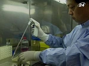 Пересаджена шкіра дуже нееластична Пересаджена шкіра дуже нееластична