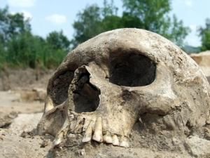 У Криму на території кіностудії знайшли середньовічне християнське поховання У Криму на території кіностудії знайшли середньовічне християнське поховання