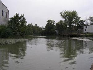 МНС попереджає про повені в Одеській області МНС попереджає про повені в Одеській області