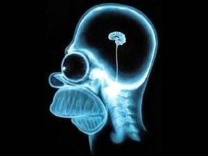 Китайські вчені: у майбутньому від людини залишиться тільки мозок Китайські вчені: у майбутньому від людини залишиться тільки мозок