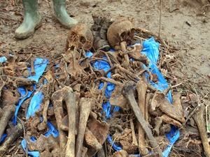 У харківському парку знайшли останки фашистів У харківському парку знайшли останки фашистів